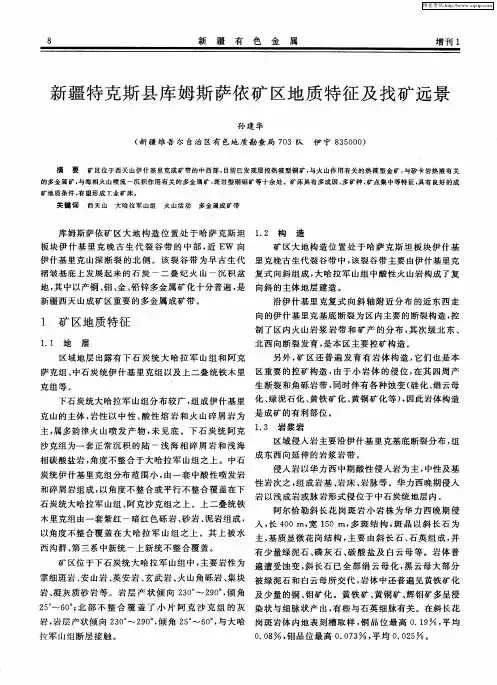 新疆特克斯县库姆斯萨依矿区地质特征及找矿远景