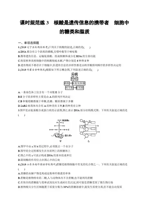 2021版山东新高考生物人教大一轮复习课时规范练3 核酸是遗传信息的携带者 细胞中的糖类和脂质( 含解析)