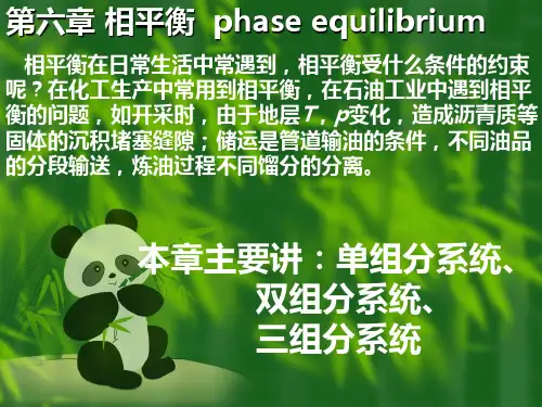 chapter6 phase equilibrium-1