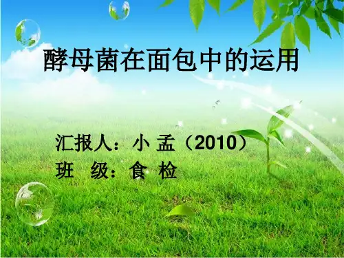 酵母菌在面包中的运用