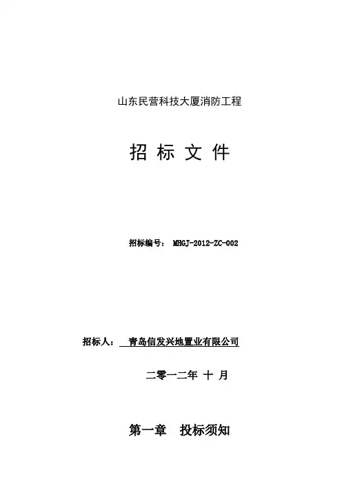 消防工程招标文件 2