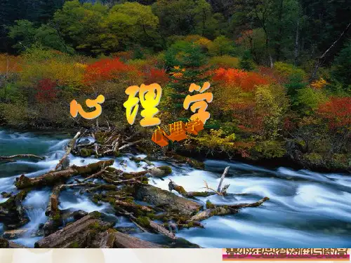 第6章 品德心理