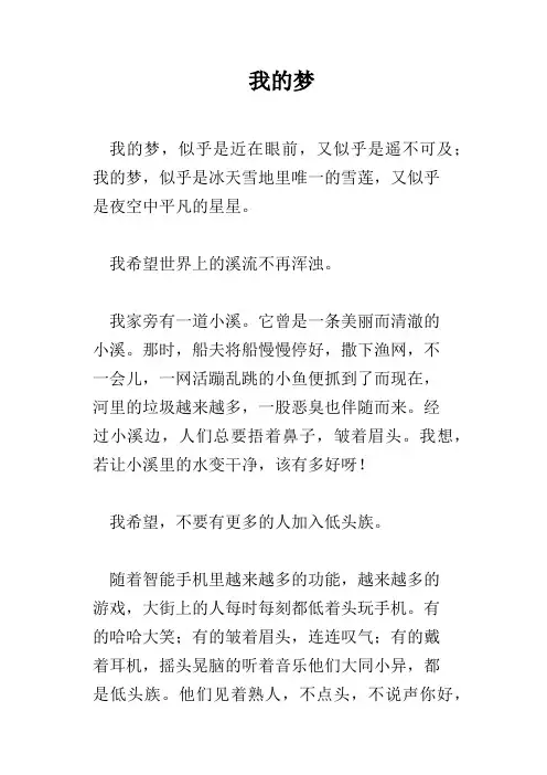 我的梦 2