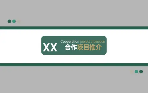 企业项目合作推介说明