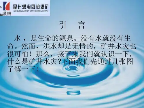 矿井透水的案例原因危害共37页