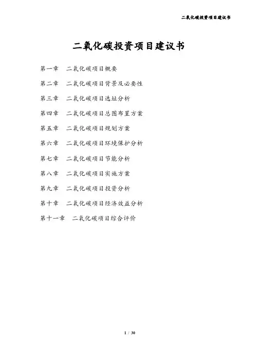 二氧化碳投资项目建议书