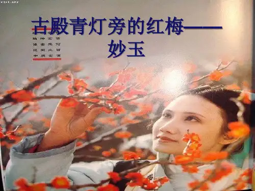 古殿青灯的寒梅—妙玉