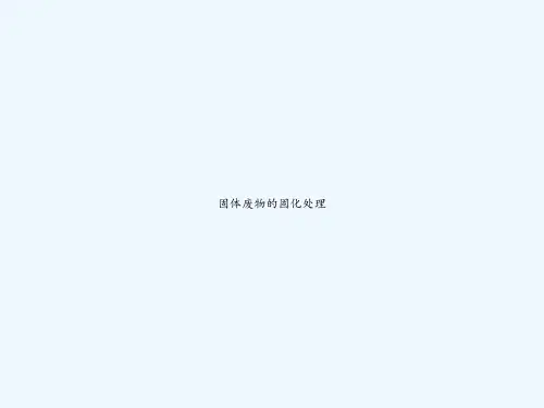 固体废物的固化处理 PPT