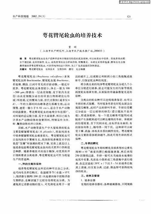 萼花臂尾轮虫的培养技术