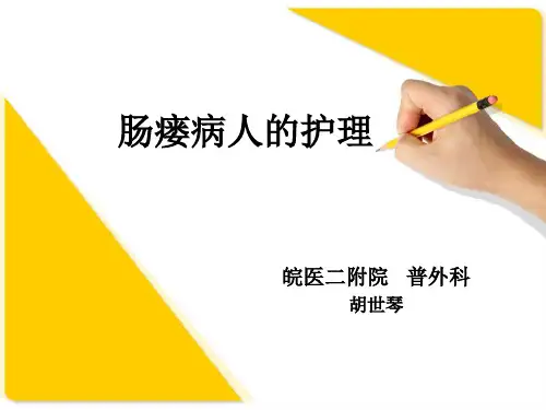 肠瘘病人的护理ppt课件