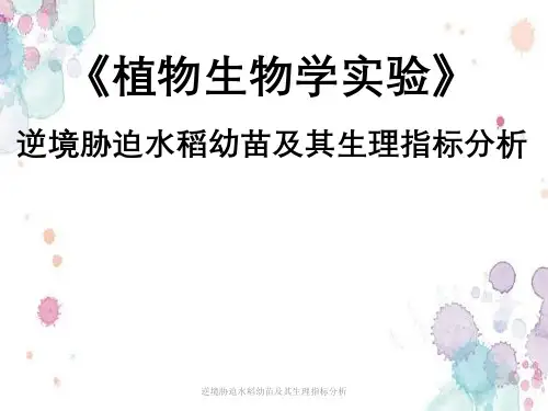 逆境胁迫水稻幼苗及其生理指标分析