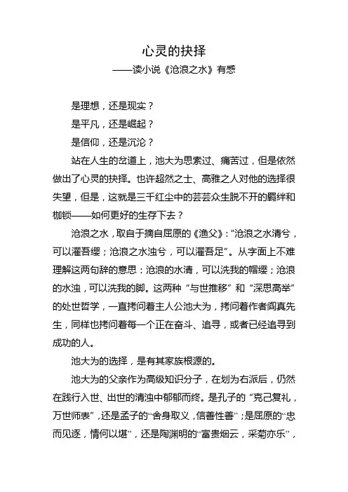 《沧浪之水》读后感 2