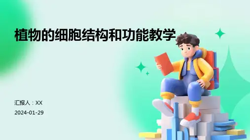 植物的细胞结构和功能教学