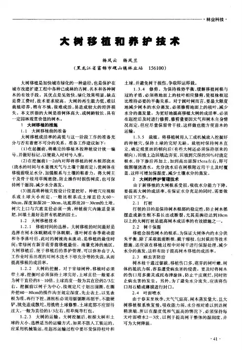 大树移植和养护技术