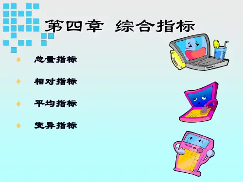 第四章综合指标
