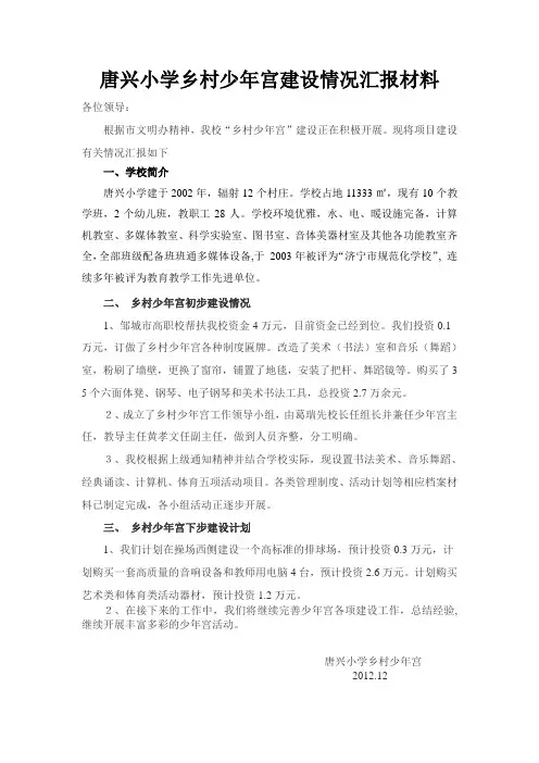 唐村镇唐兴小学乡村少年宫建设情况汇报材料