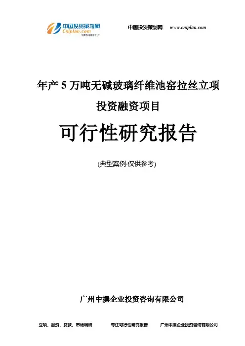年产5万吨无碱玻璃纤维池窑拉丝融资投资立项项目可行性研究报告(非常详细)
