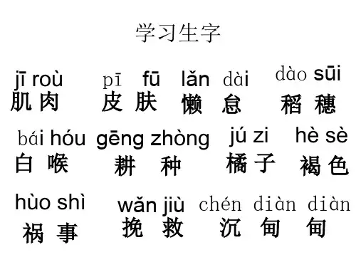 六年级语文上册全册生字词