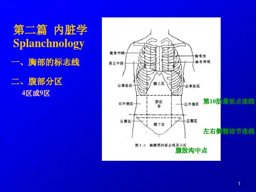 第五章 消化系统
