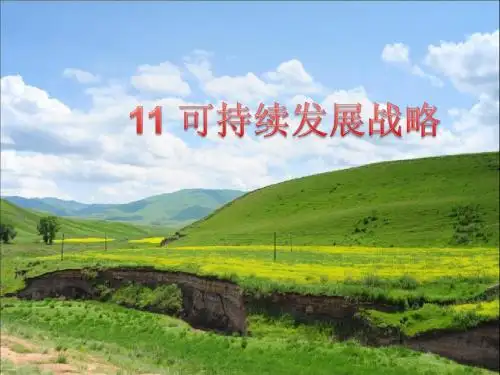 可持续发展