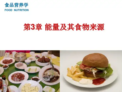 第3章 能量及其食物来源