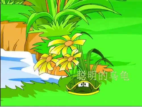 幼儿园聪明的乌龟课件pptppt课件