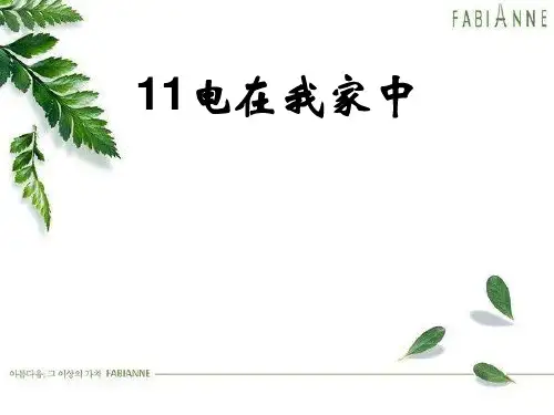 冀教版小学科学三年级下册 电在我家中