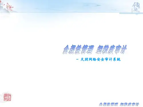 网络安全审计解决方案--hy