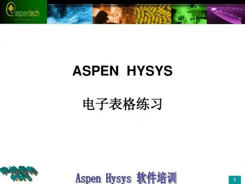 Hysys培训电子表格练习
