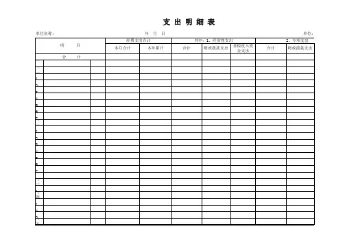 支出明细表