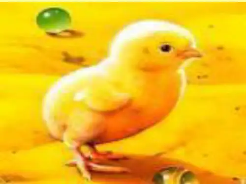 一世界多美呀课时