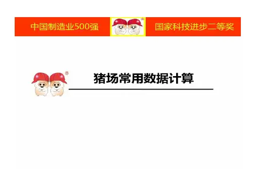 猪场常用数据计算的方案20页PPT