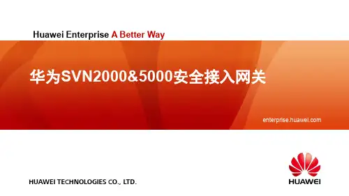 渠道资料--SVN2000 5000 产品主打胶片 V1.0 (20120701)