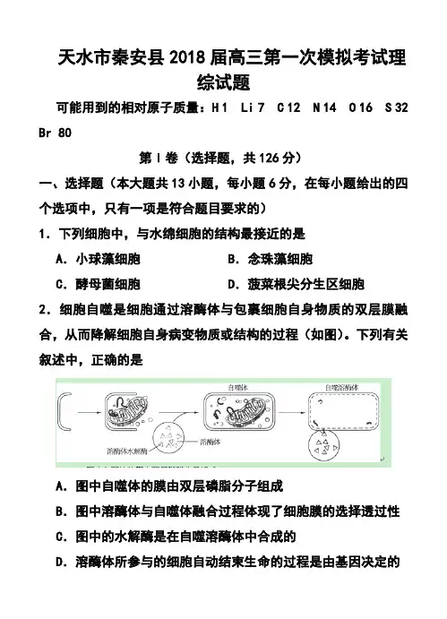 2018届甘肃省天水市秦安县高三第一次模拟考试理科综合试题及答案  精品推荐