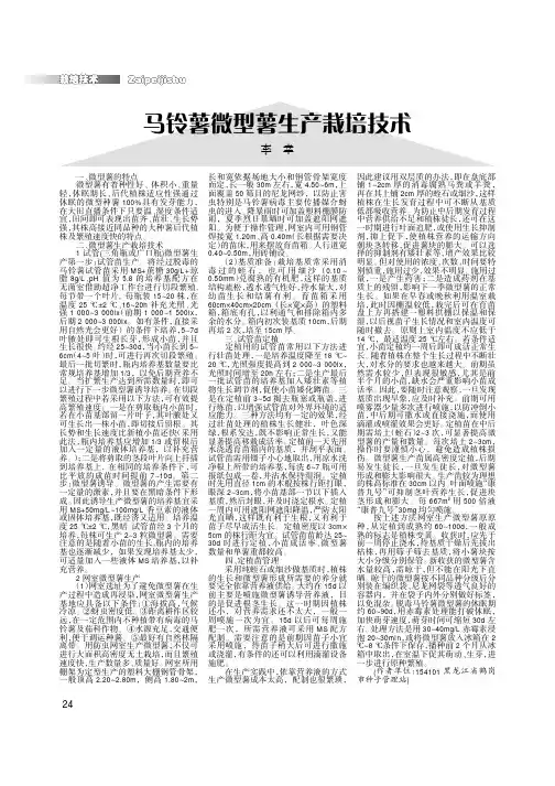马铃薯微型薯生产栽培技术