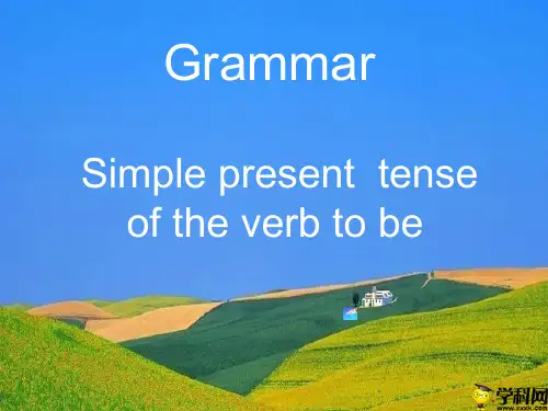 江苏省如皋市白蒲镇初级中学七年级英语上册U1Grammar课件(共16张PPT)