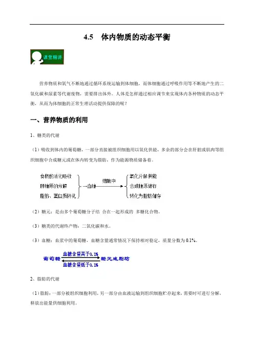 4.5  体内物质的动态平衡  —浙教版九年级科学上册学案