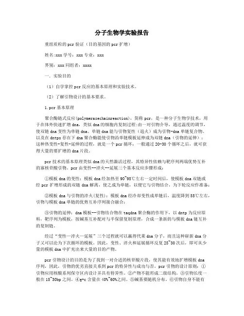 分子生物学实验报告 3