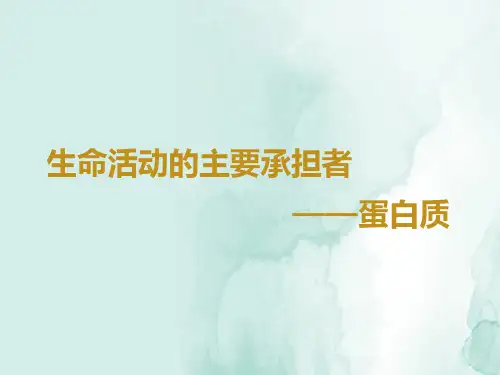 高三生物一轮复习优质课件3：生命活动的主要承担者——蛋白质