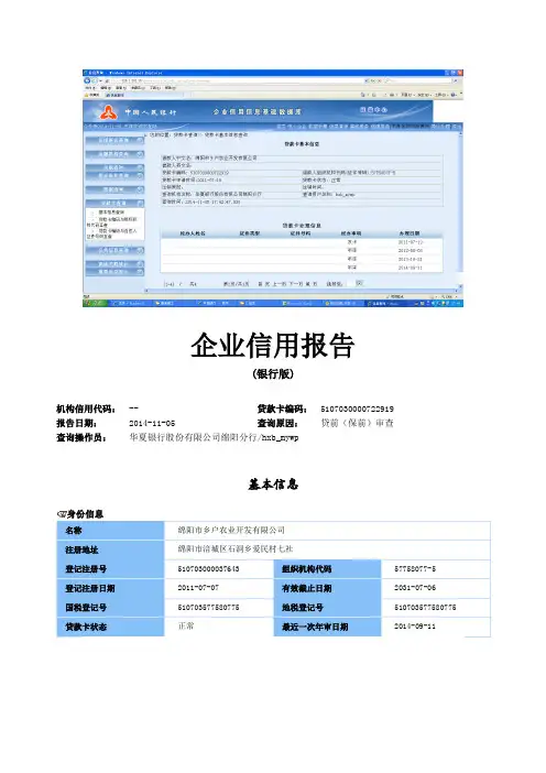 企业信用报告