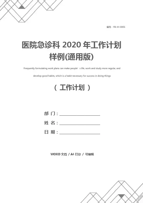 医院急诊科2020年工作计划样例(通用版)