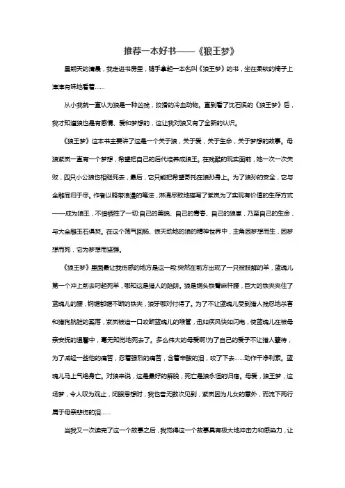 推荐一本好书
