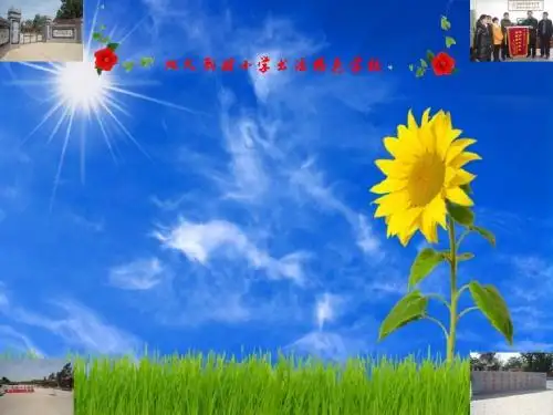 书法特色学校模板