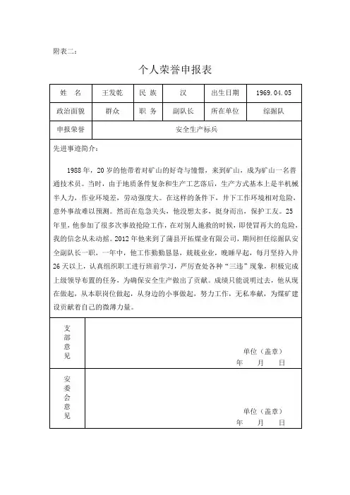 个人荣誉申报表