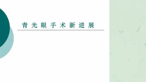 青光眼手术新进展课件