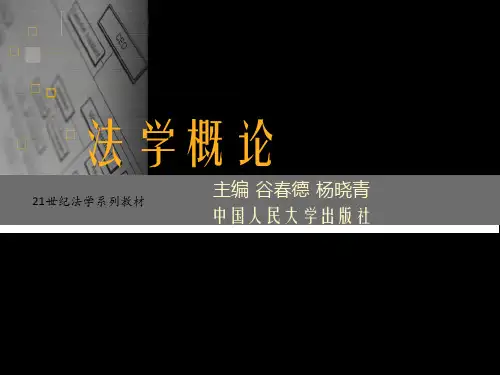 法学概论第十一章[19页]