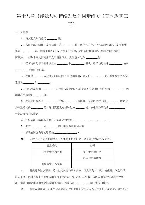 第十八章《能源与可持续发展》同步练习(苏科版初三下)