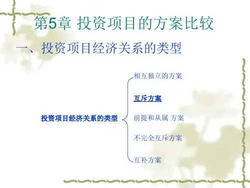 5 投资项目的方案比较