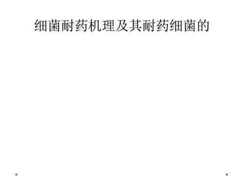 细菌耐药机理及其耐药细菌的