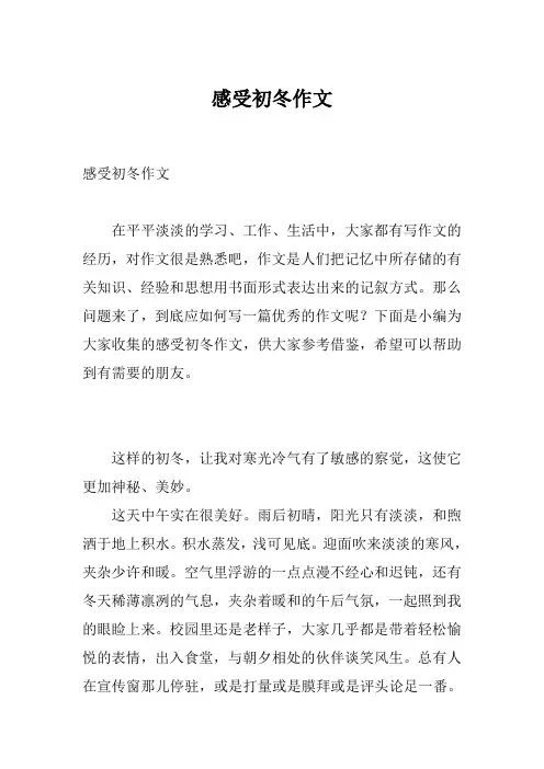 感受初冬作文